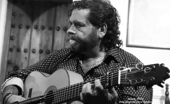 Flamenco guitarra (guitar)