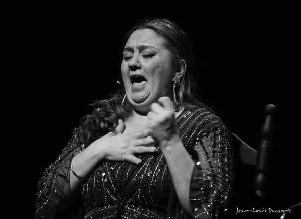 Flamenco cante (song)