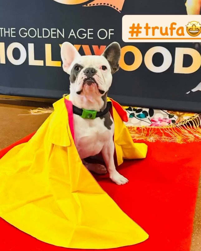 Trufa